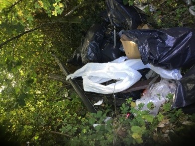 An image of fly tipping waste dumped in a hedge