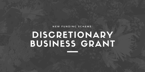 New Discretionary Business Grant graphic